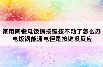 家用陶瓷电饭锅按键按不动了怎么办 电饭锅能通电但是按键没反应